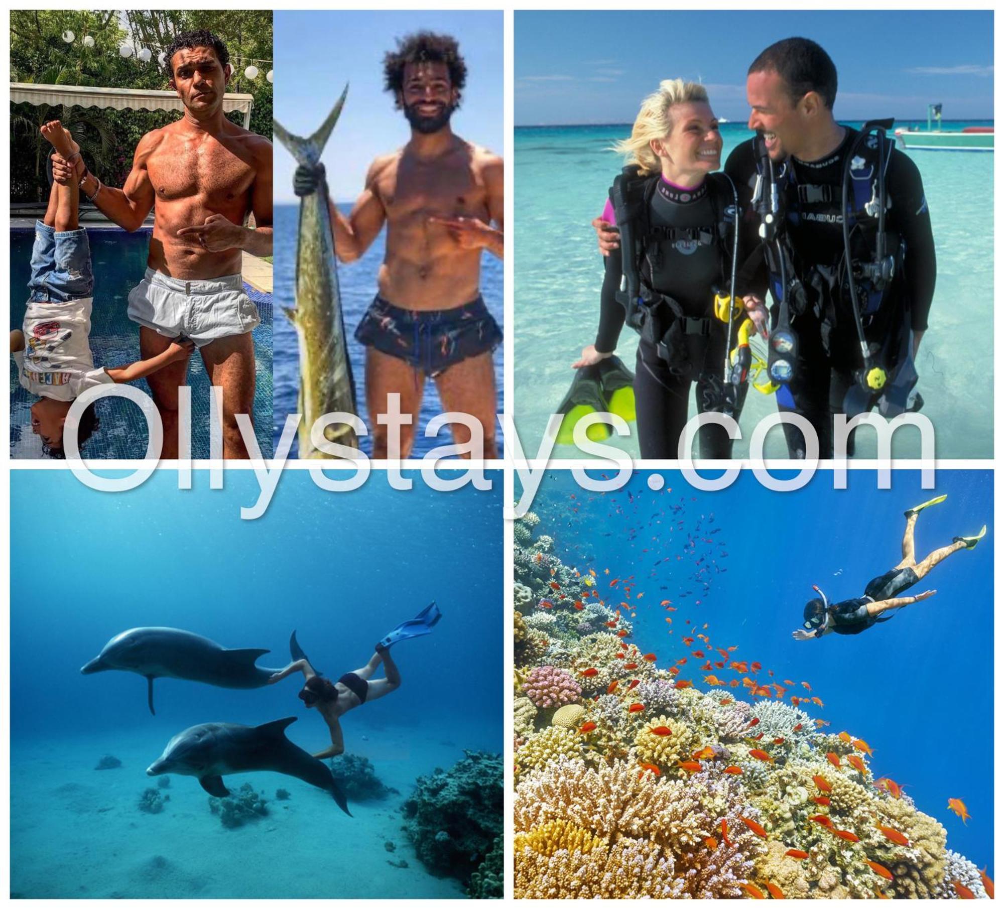 Ollystays Mangroovy 1 Bedroom Beach And Pool Free Access Hurghada Esterno foto