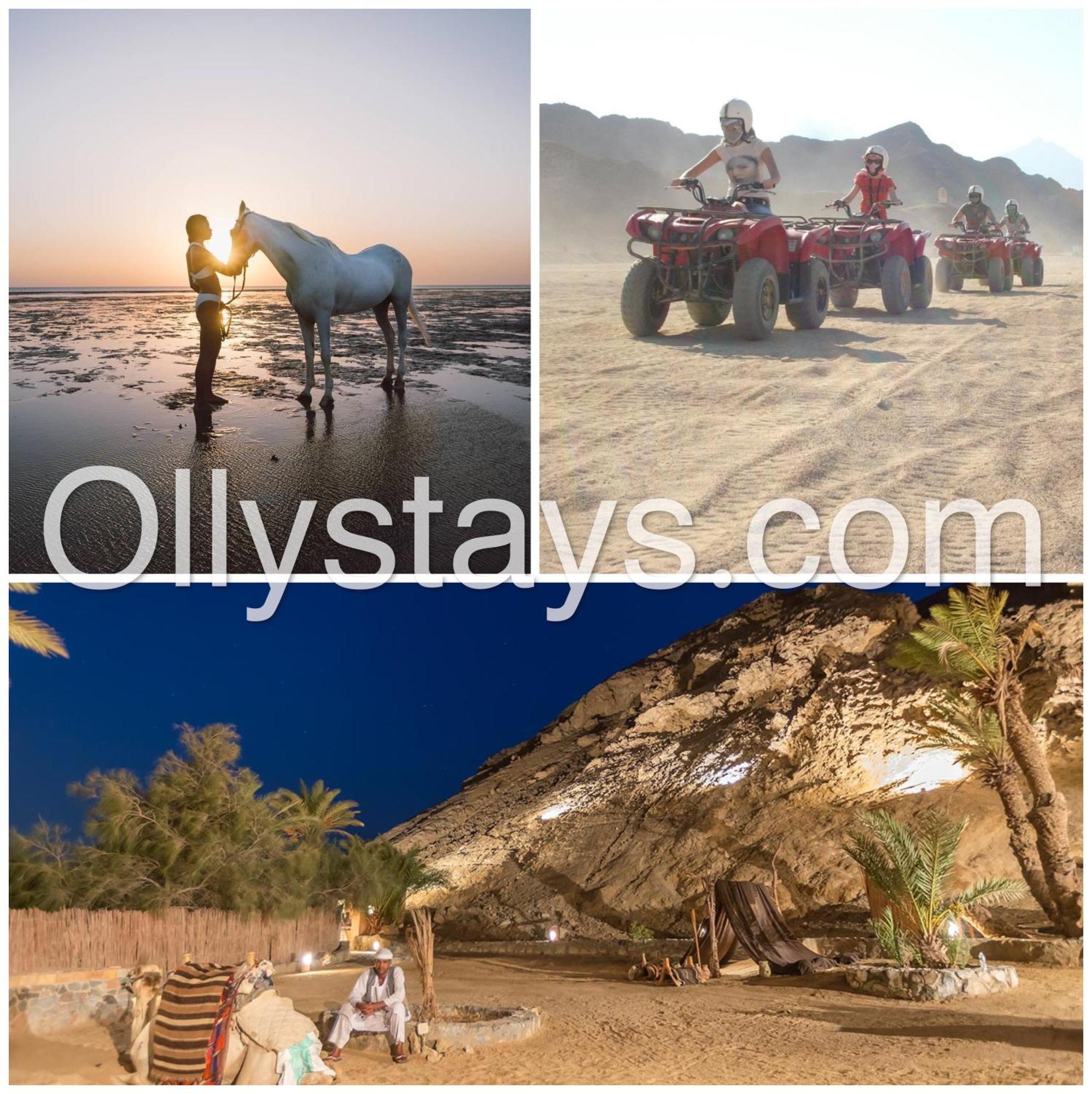 Ollystays Mangroovy 1 Bedroom Beach And Pool Free Access Hurghada Esterno foto